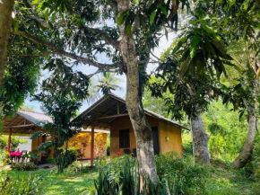 Brown Cabana Tangalle